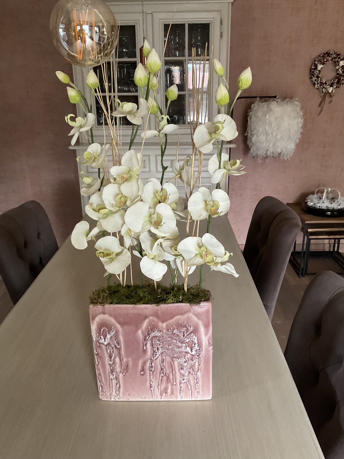 Orchideeen
