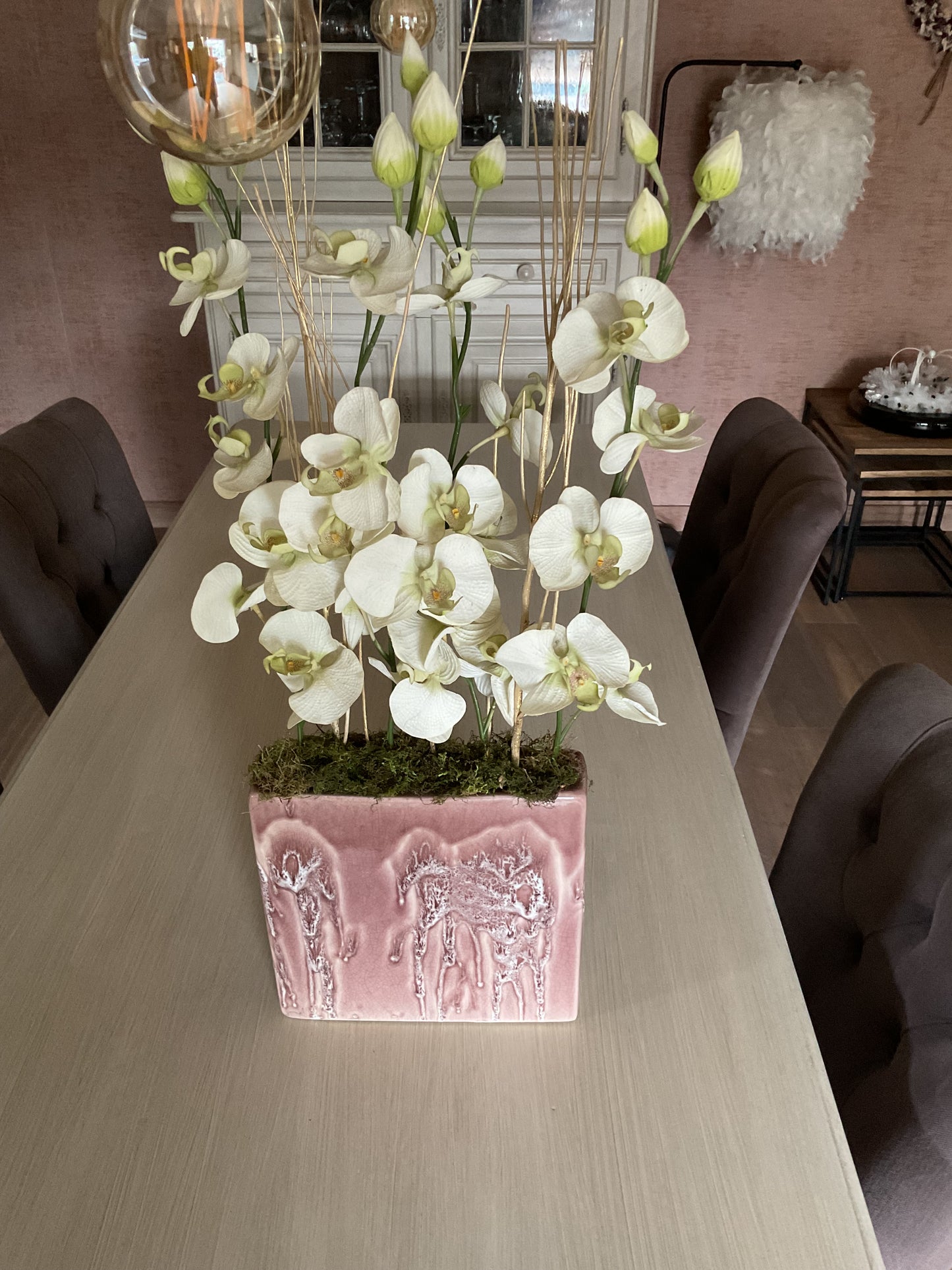 Orchideeen