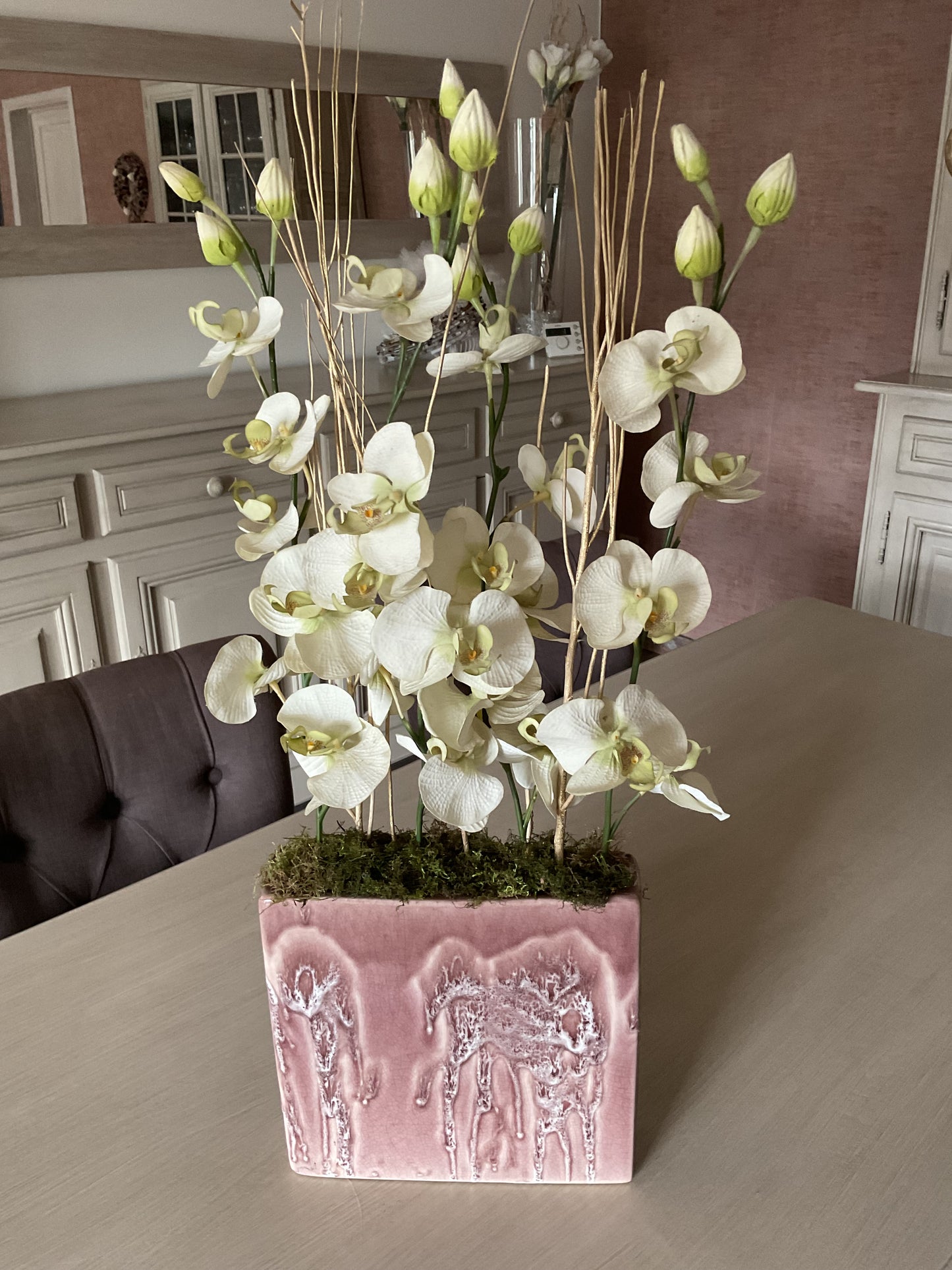 Orchideeen