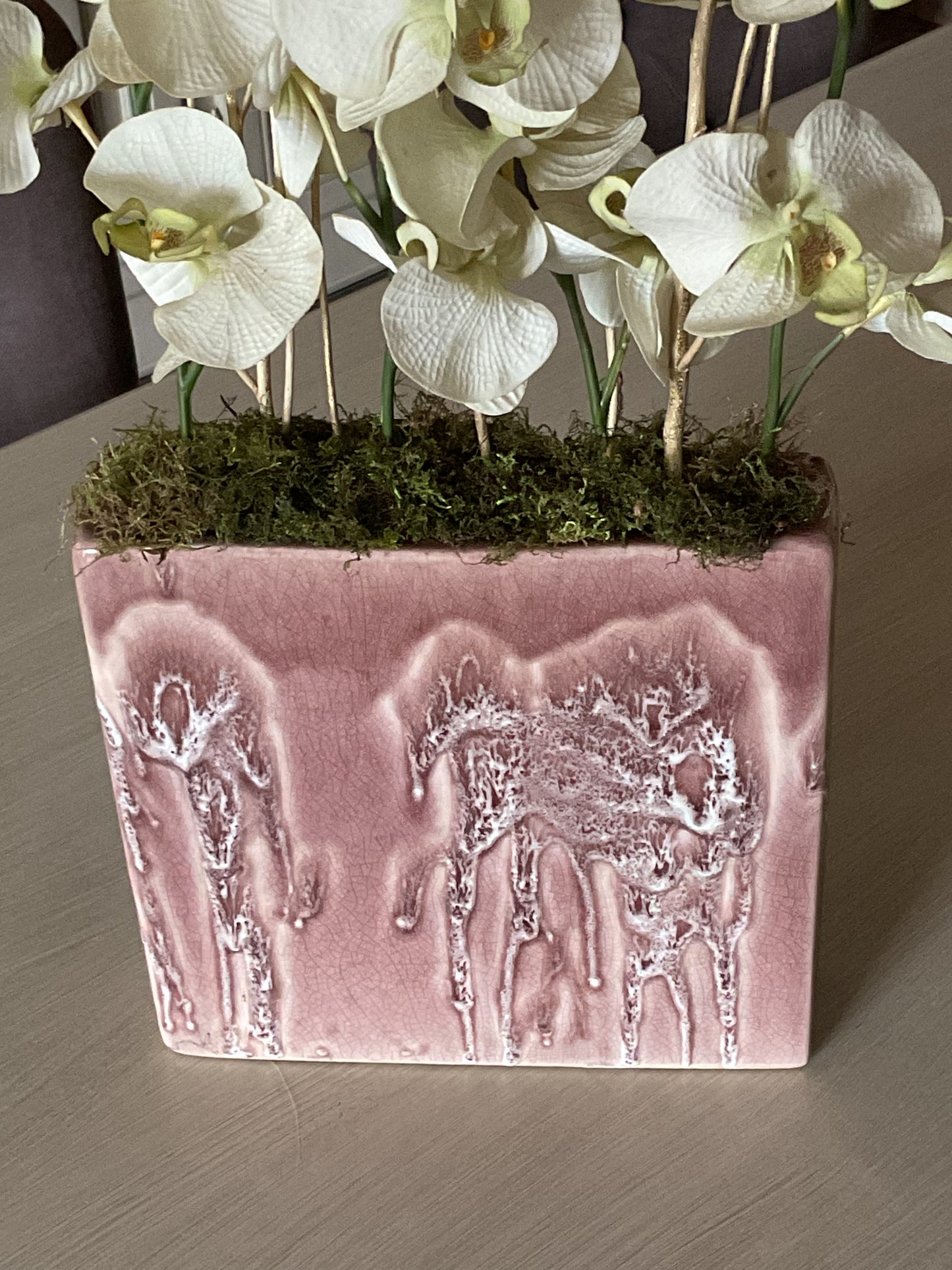 Orchideeen