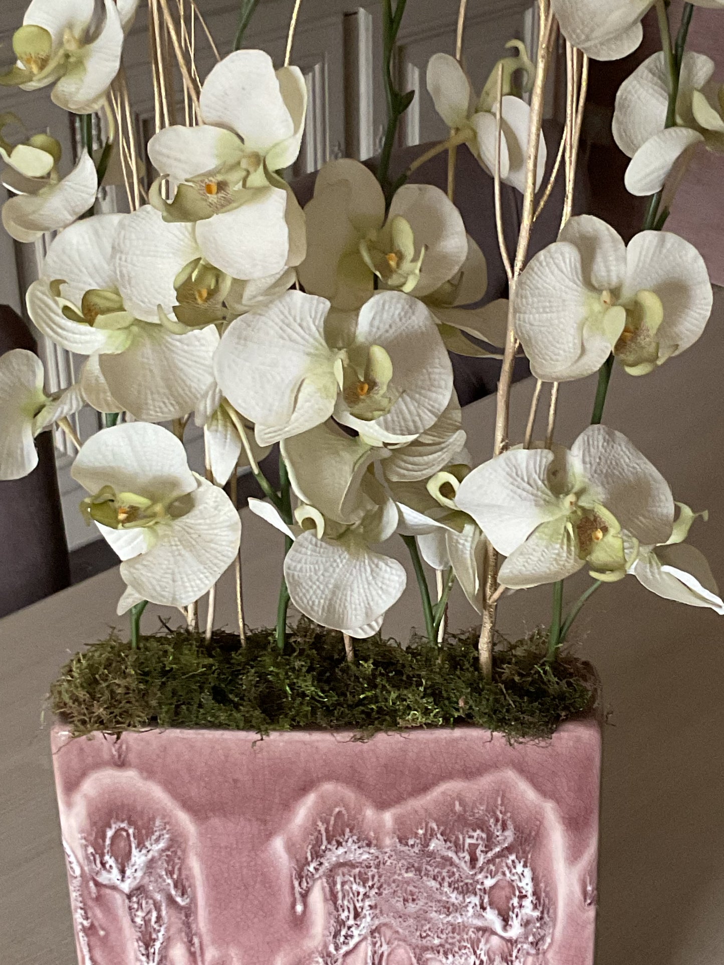 Orchideeen