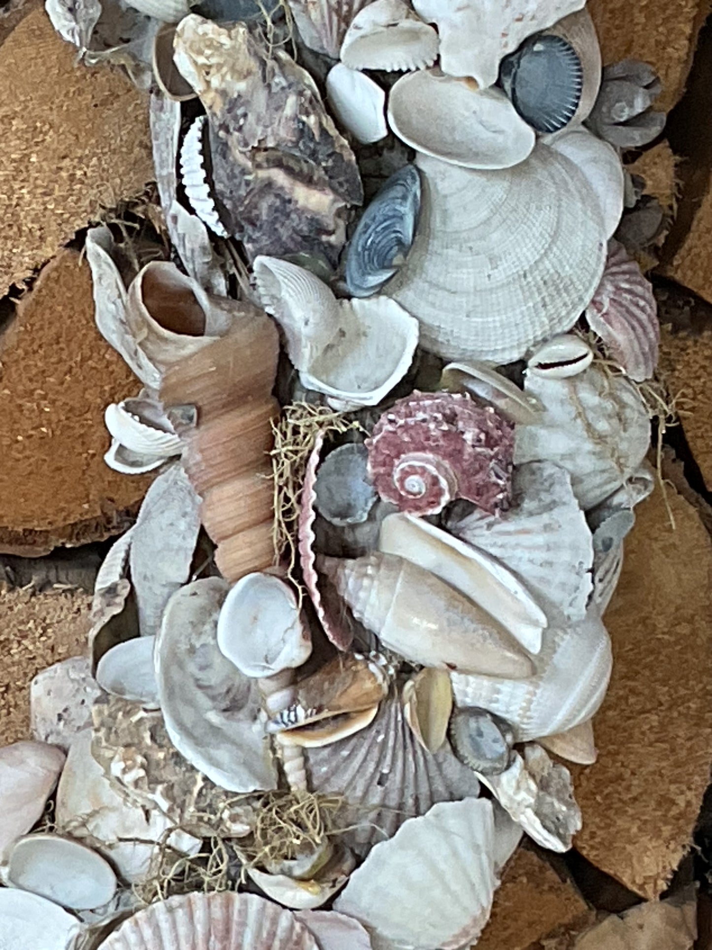 grote schelpenkrans