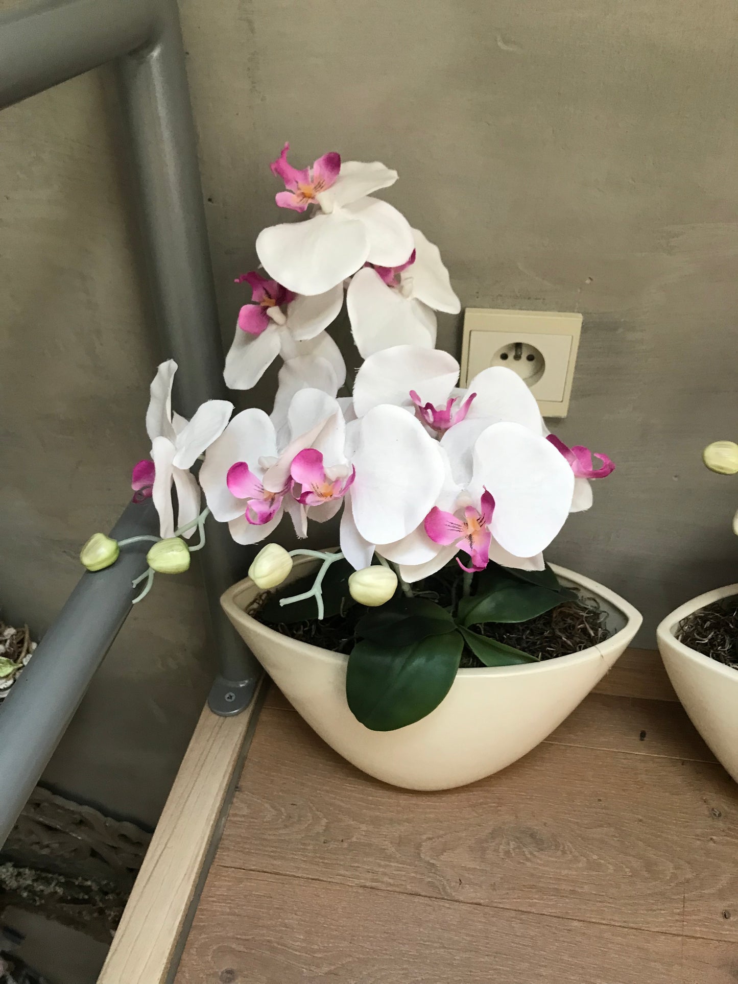 Orchideepotten