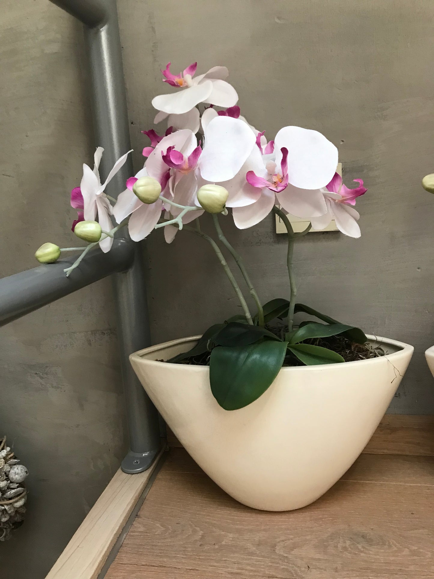Orchideepotten