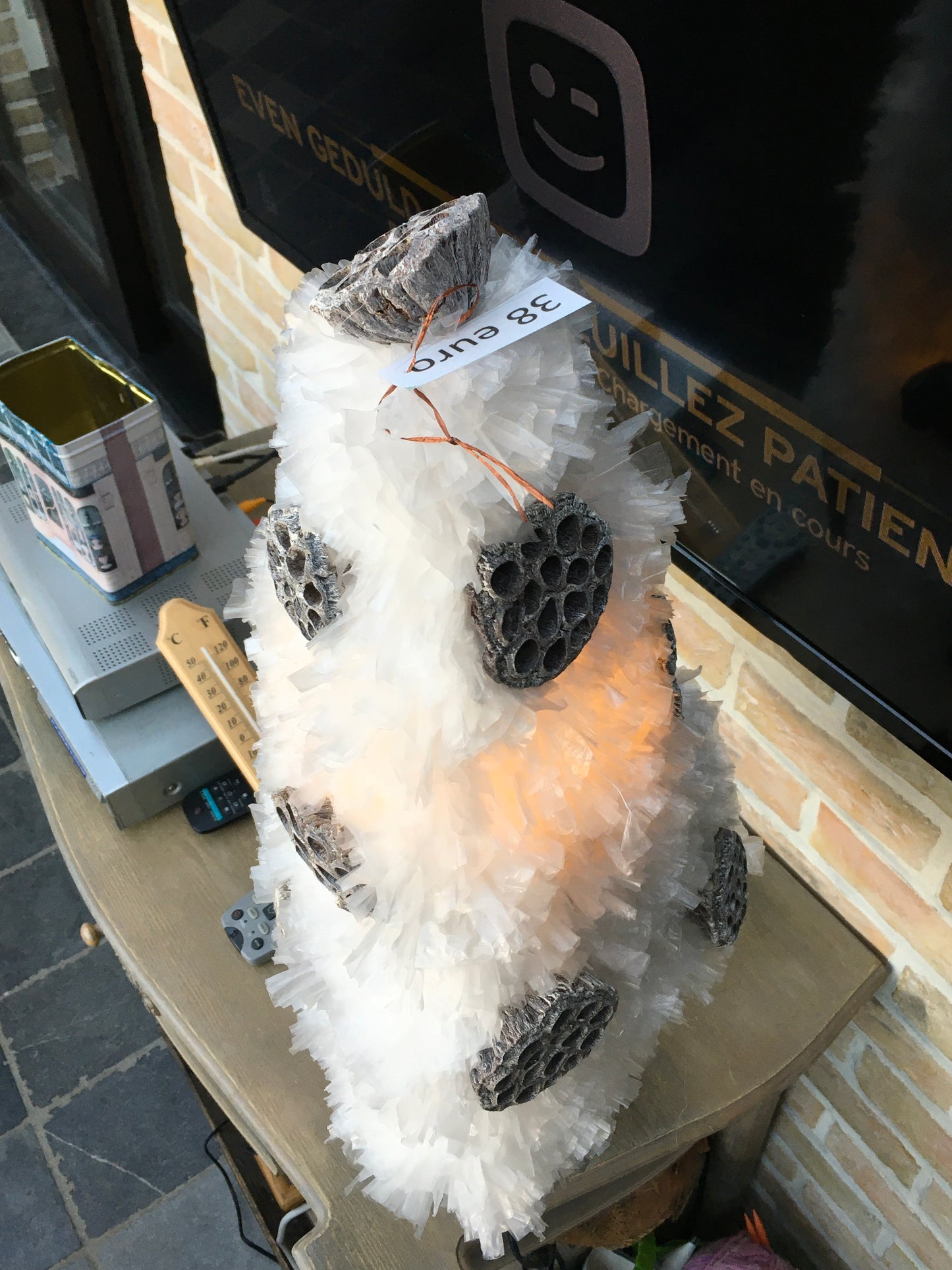 Pluimenlamp