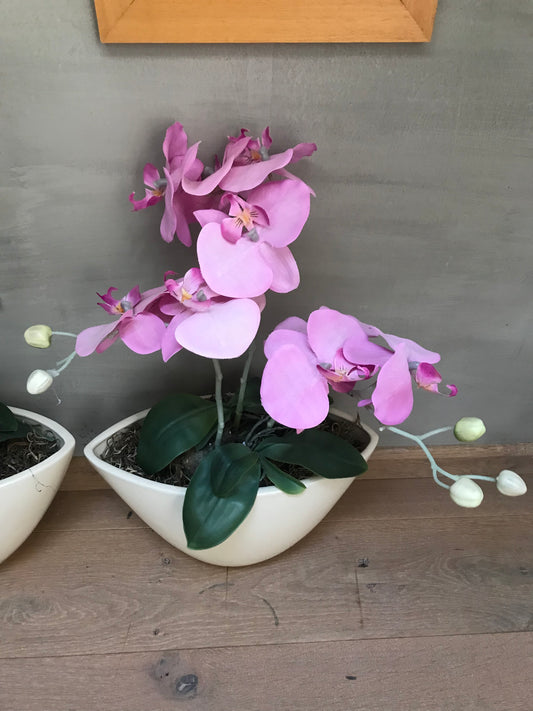 Orchideepotten