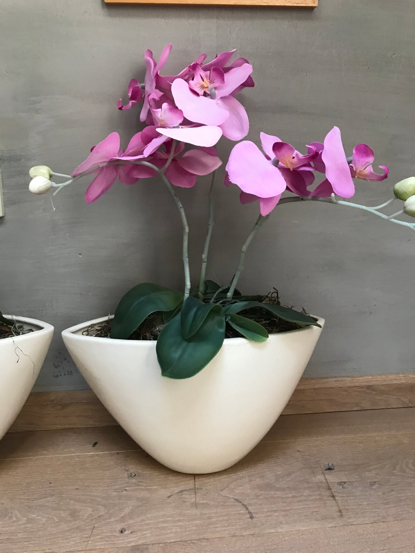 Orchideepotten