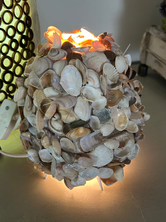 Schelpenlampje