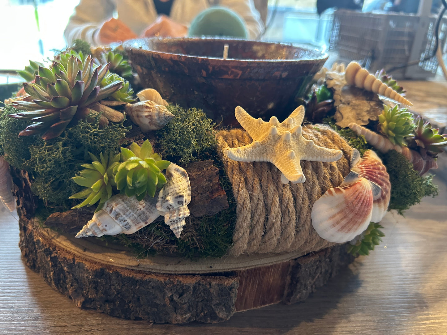 Workshop schelpentuin met rotsplantjes