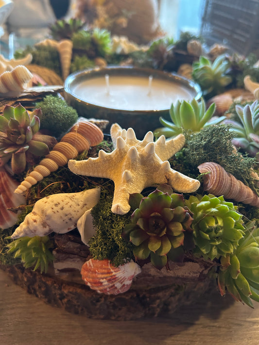 Workshop schelpentuin met rotsplantjes