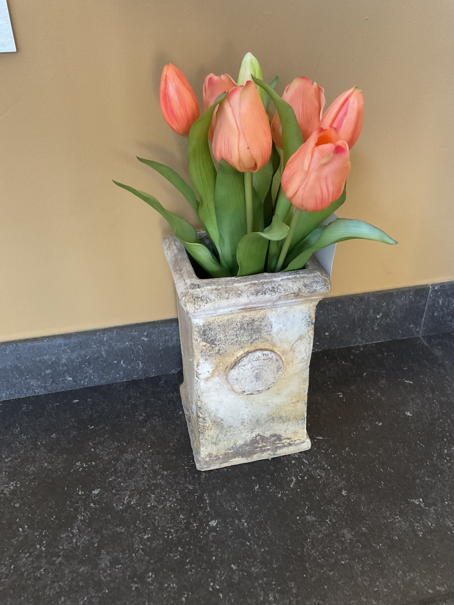 Vaas met tulpen