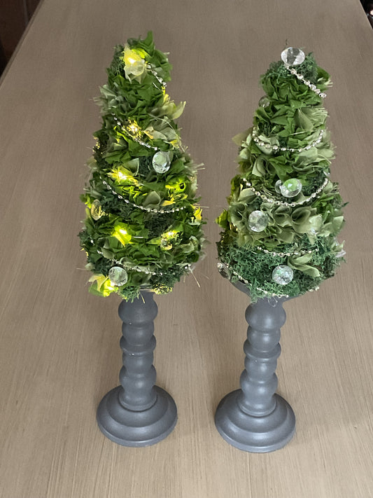 2 kerstboompjes