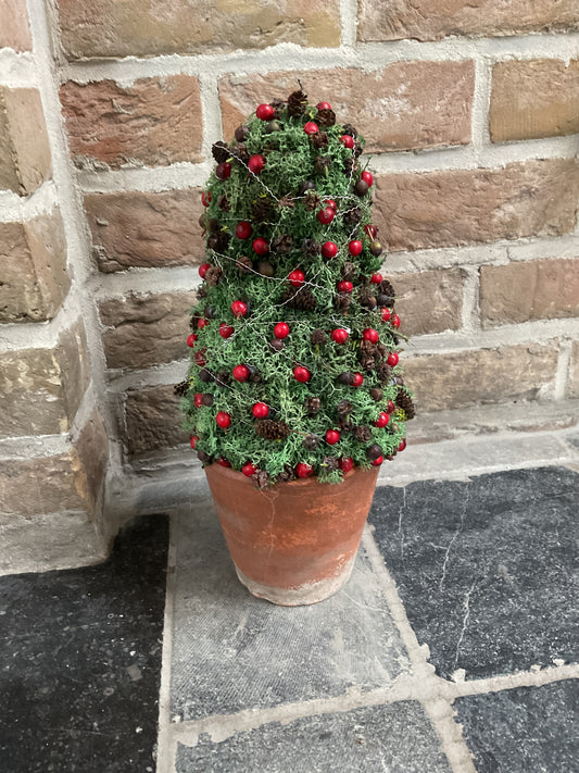 Workshop kerstboompje