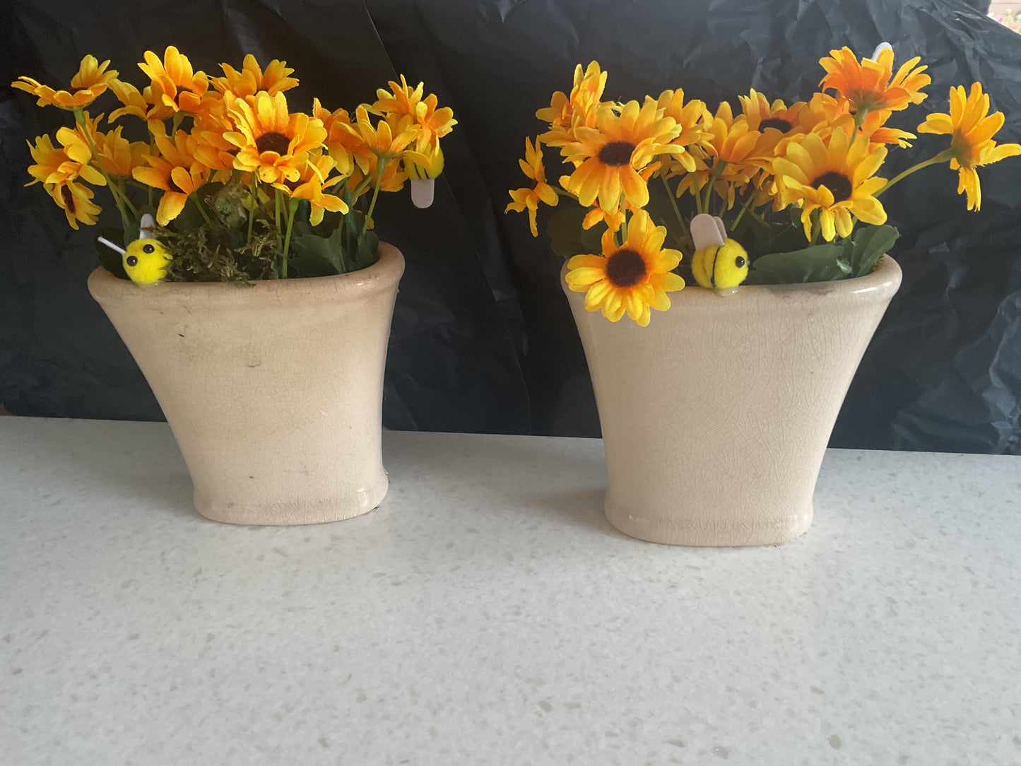 Zonnebloempotjes
