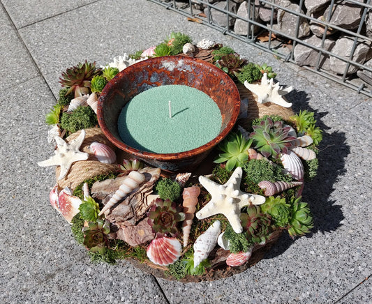 Workshop schelpentuin met rotsplantjes