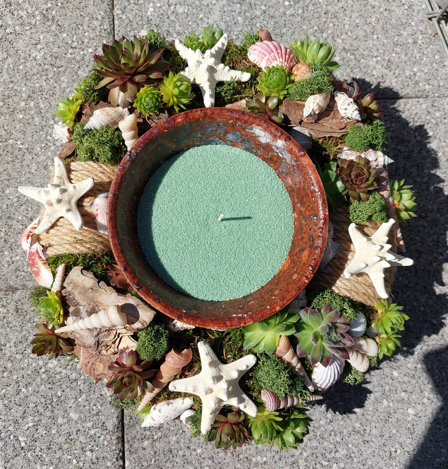 Workshop schelpentuin met rotsplantjes