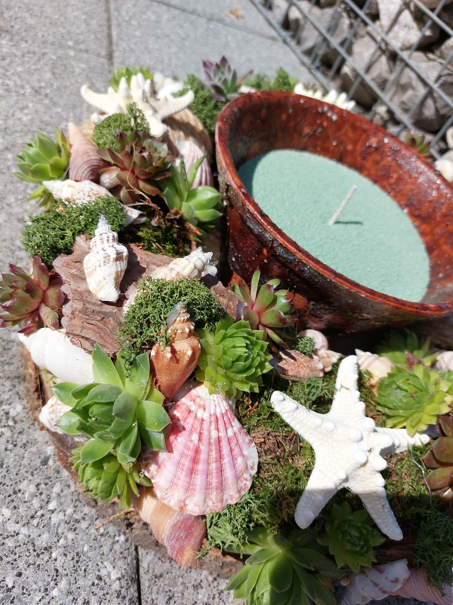 Workshop schelpentuin met rotsplantjes